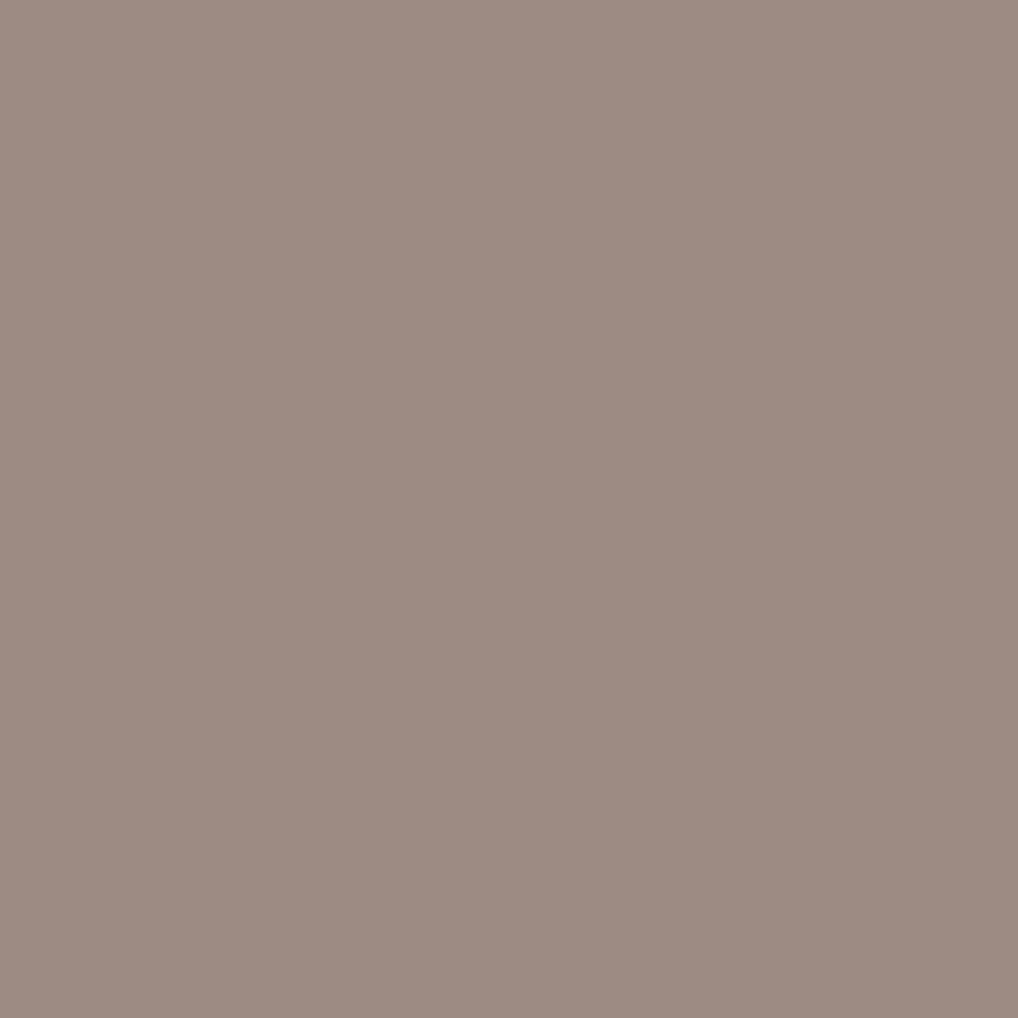 Lime Stucco| Coarse Finish  ~ Sample Board