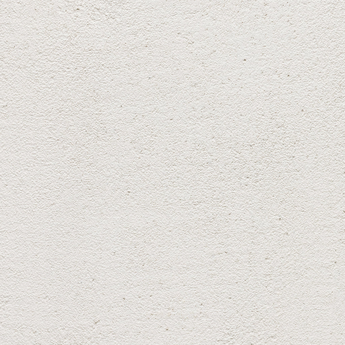 Bone Lime Slurry | Brick & Stone Lime Finish | Earthaus