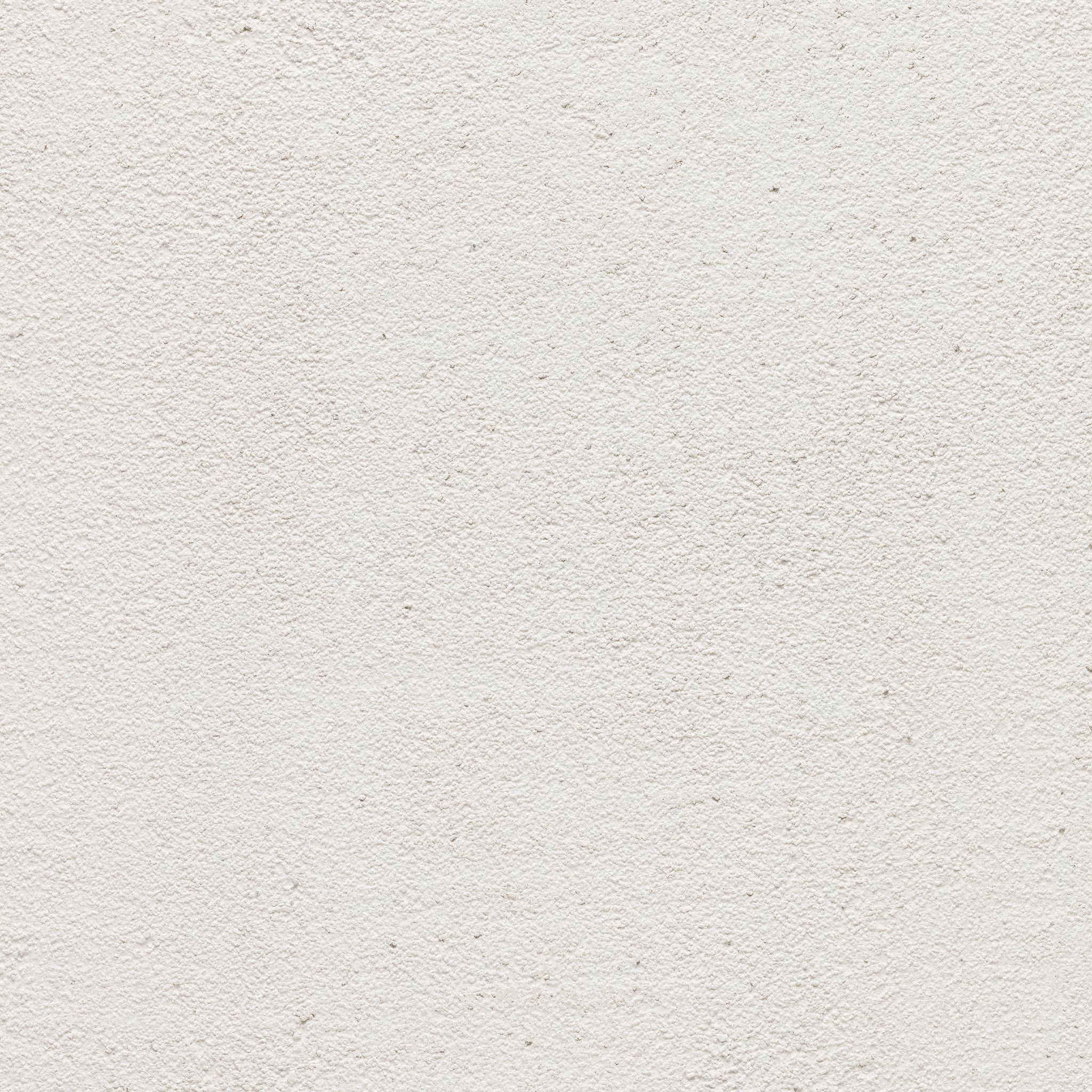 Bone - Earthaus Plaster