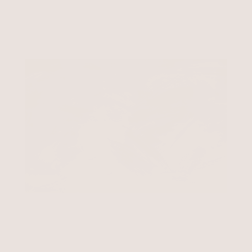 Cashmere - Earthaus Plaster