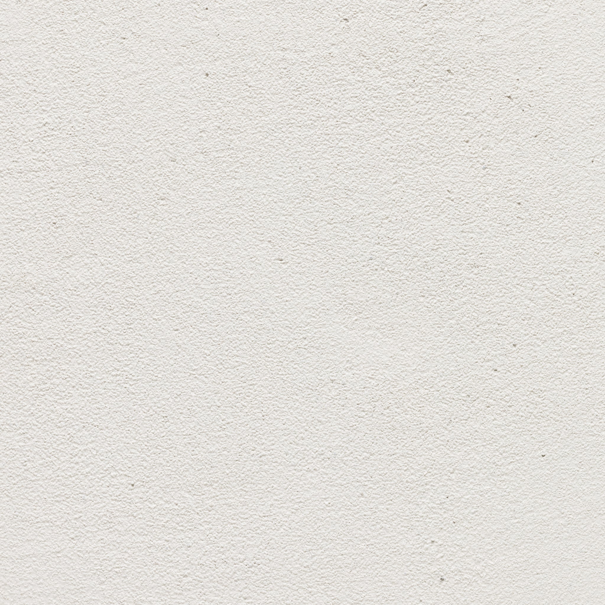 Fennel - Earthaus Plaster