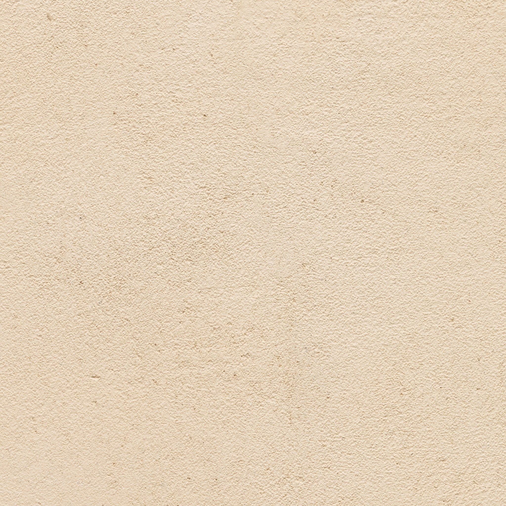Honey - Earthaus Plaster