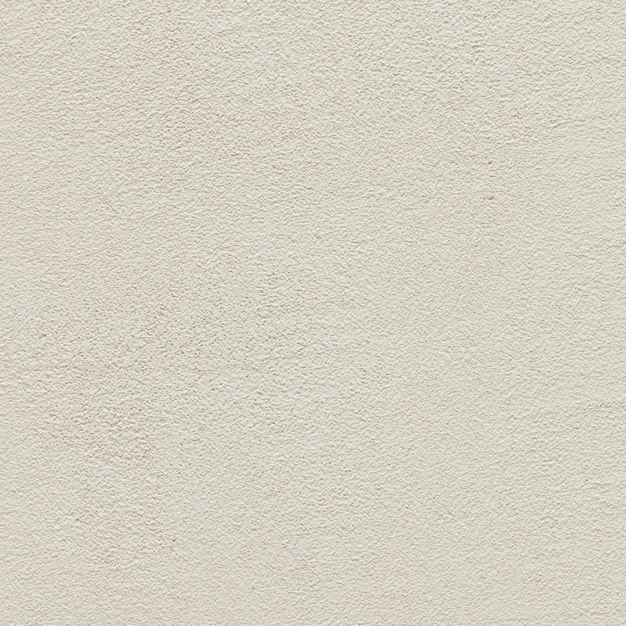 Lichen - Earthaus Plaster