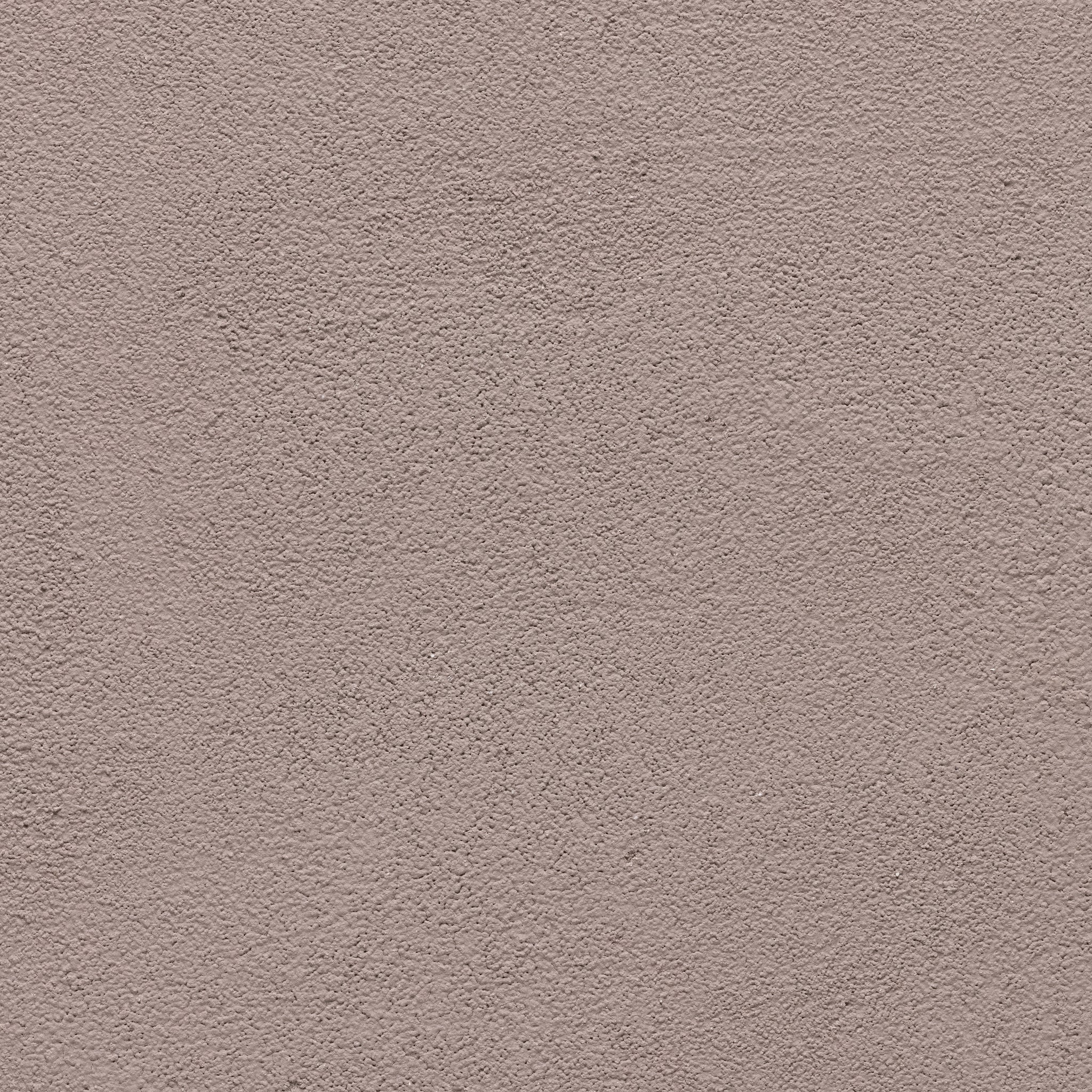 Lilac - Earthaus Plaster