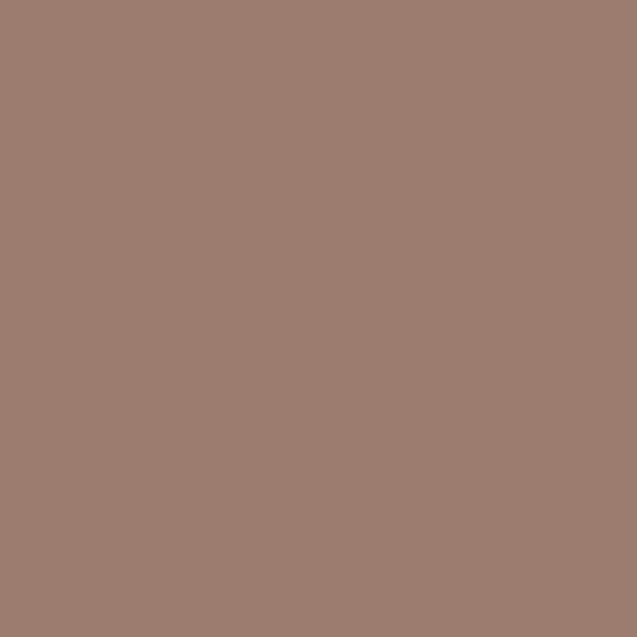 Limewash Finish | Sample Kit - Earthaus Plaster