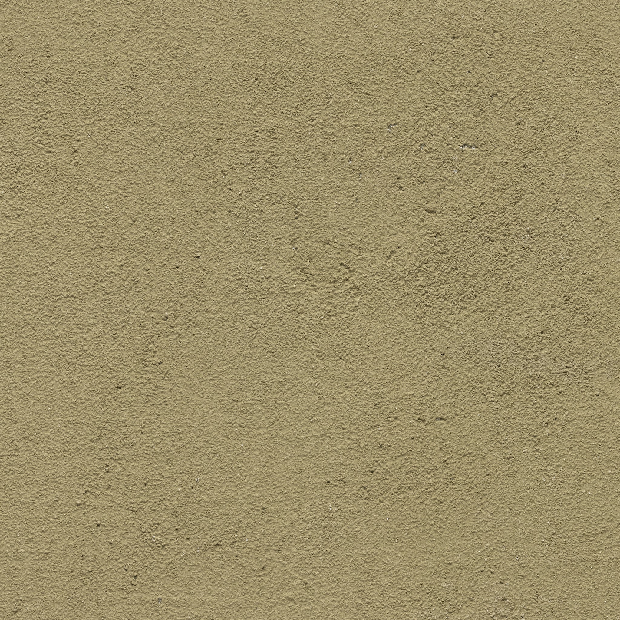 Olive - Earthaus Plaster