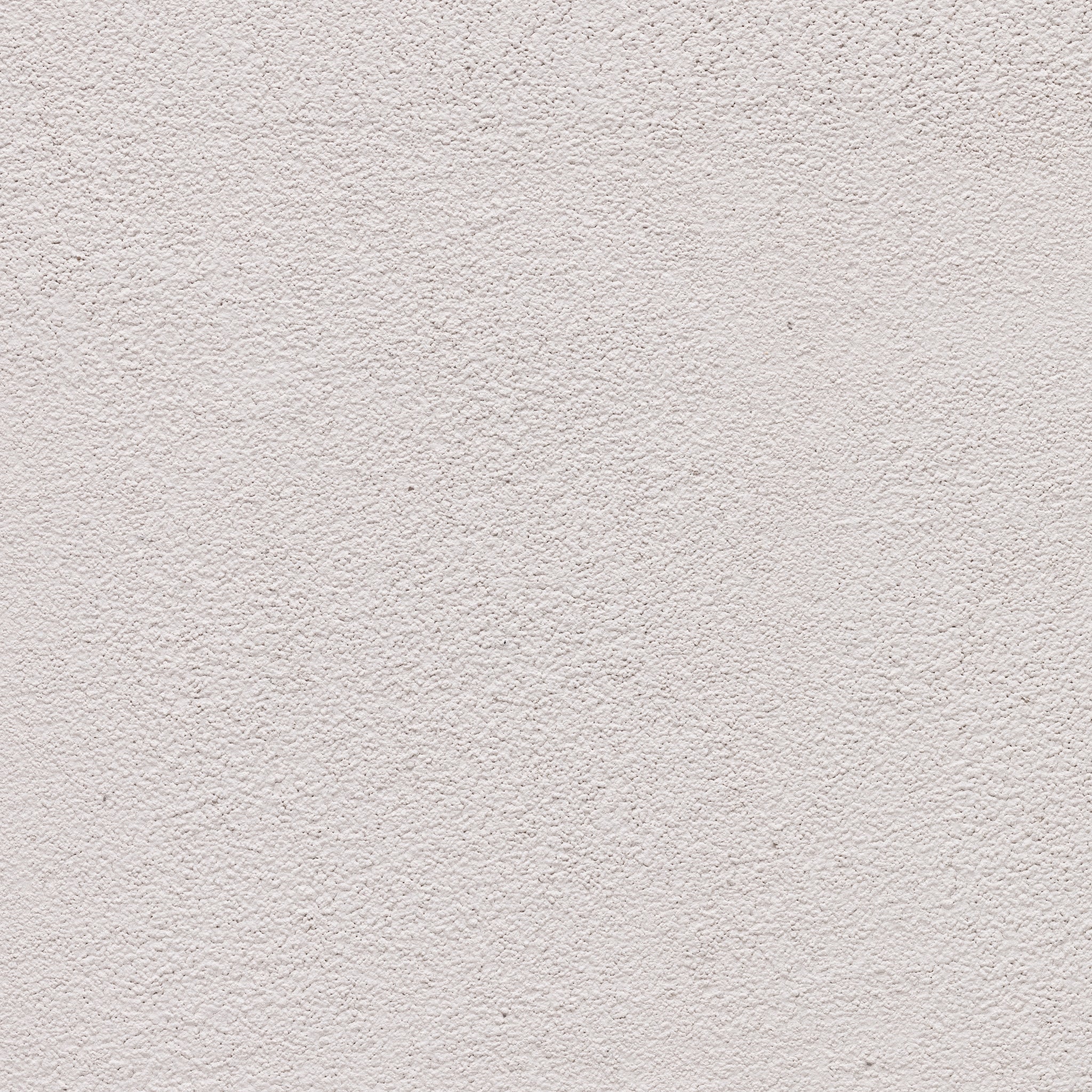 Orchid - Earthaus Plaster