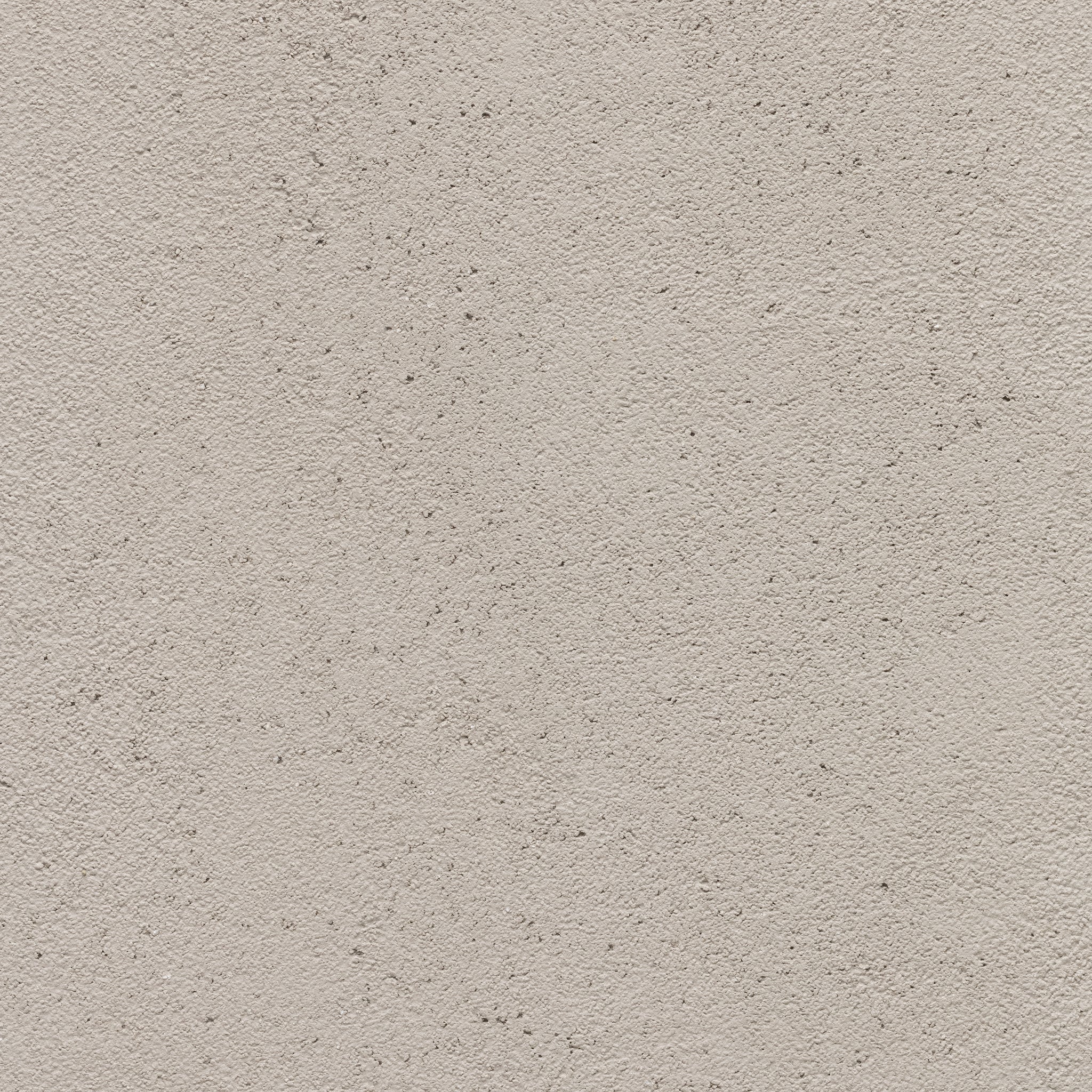 Oyster - Earthaus Plaster