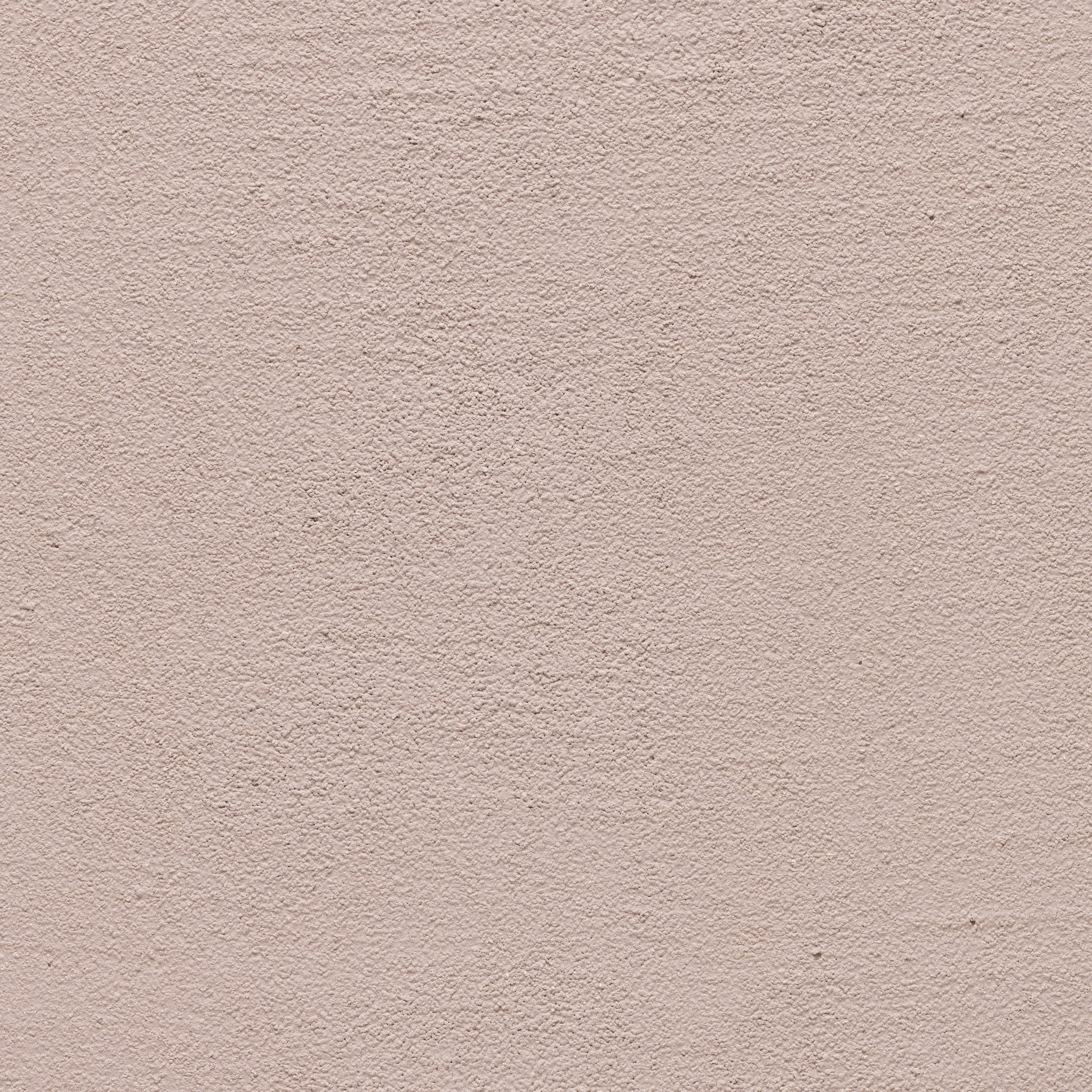 Rosé - Earthaus Plaster