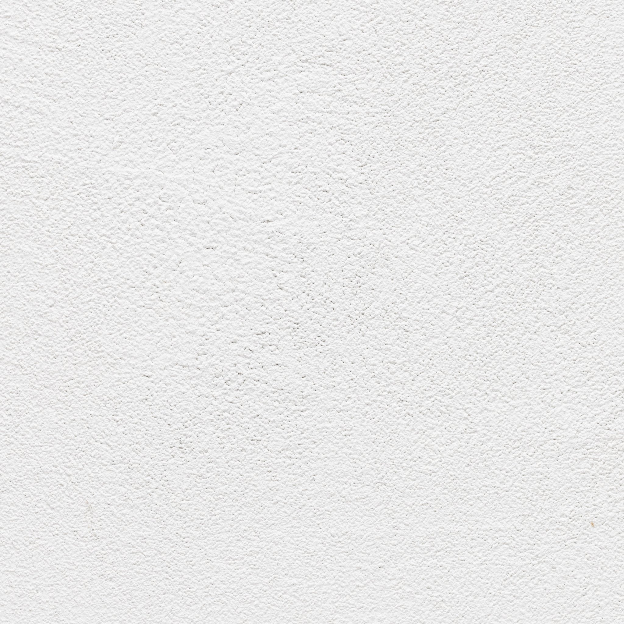 Shell - Earthaus Plaster