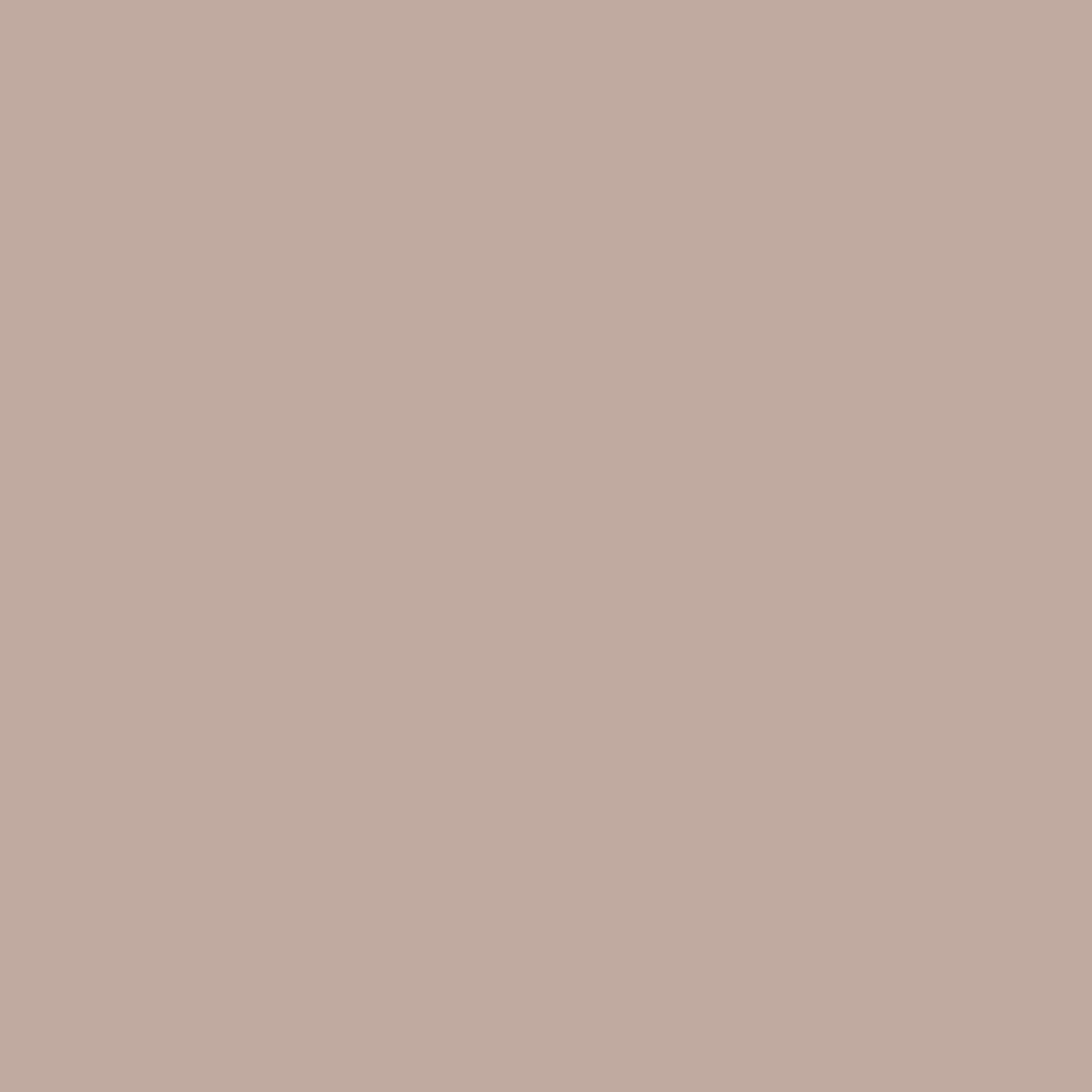 Tadelakt Finish | Sample Kit - Earthaus Plaster