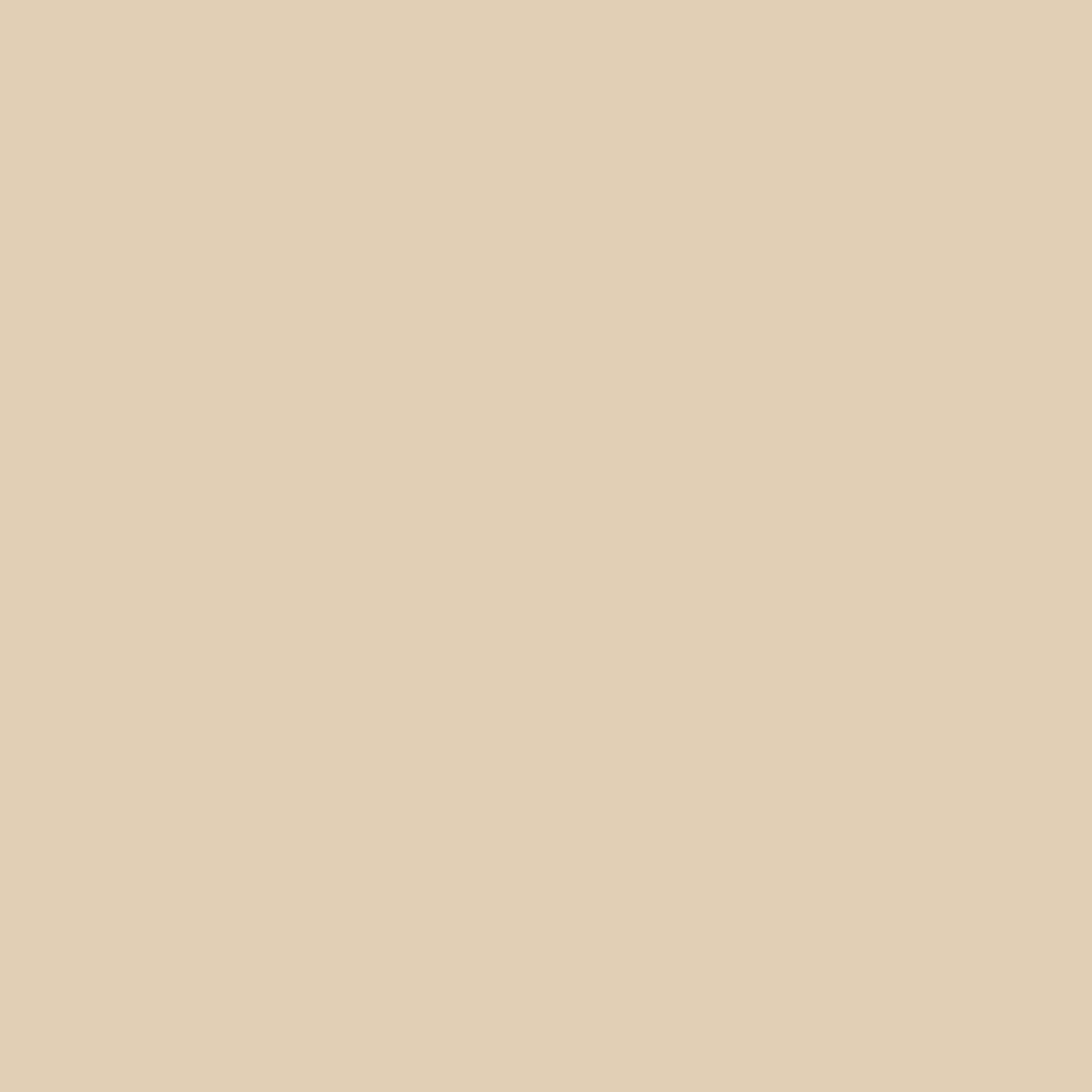Tadelakt Finish | Sample Kit - Earthaus Plaster