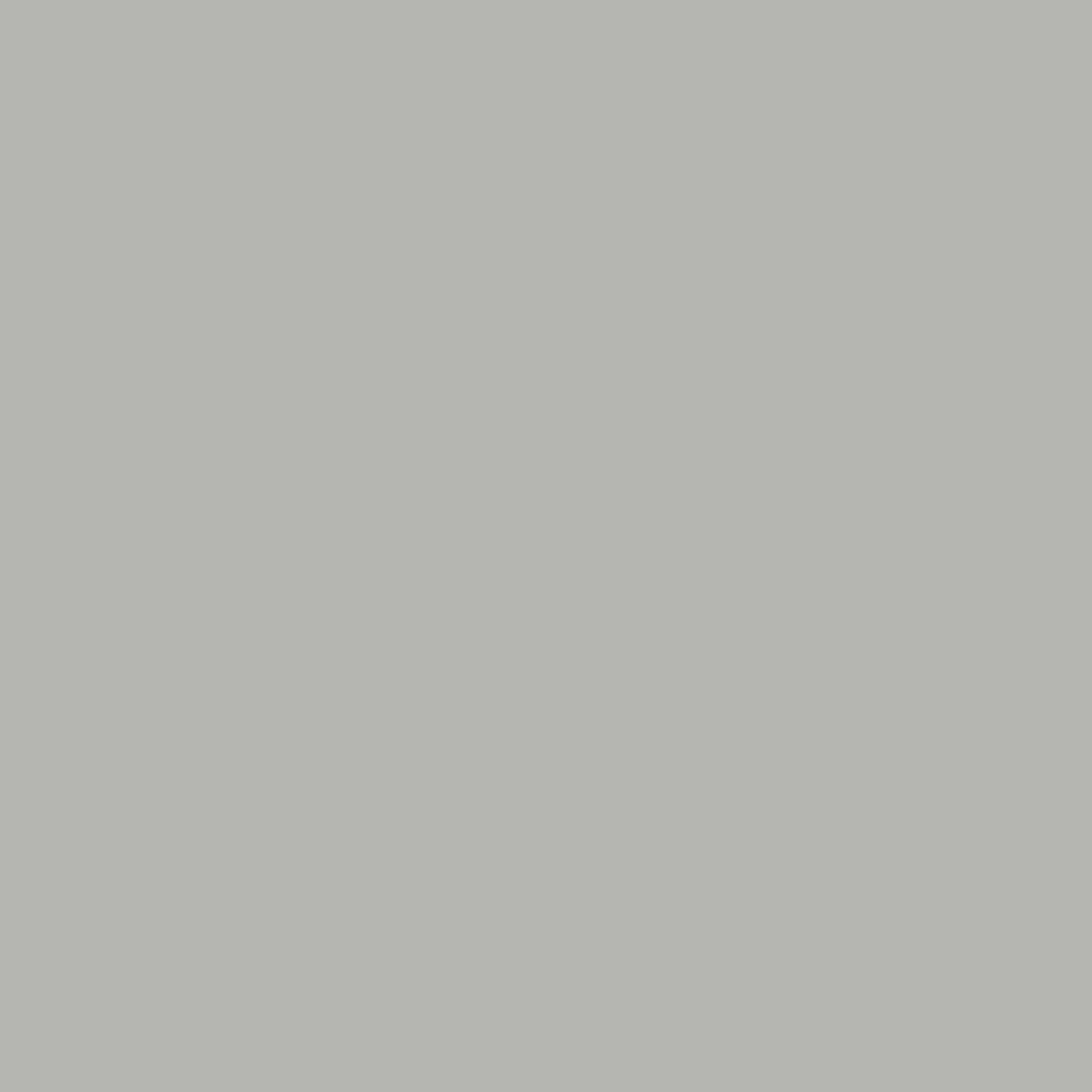 Tadelakt Finish | Sample Kit - Earthaus Plaster