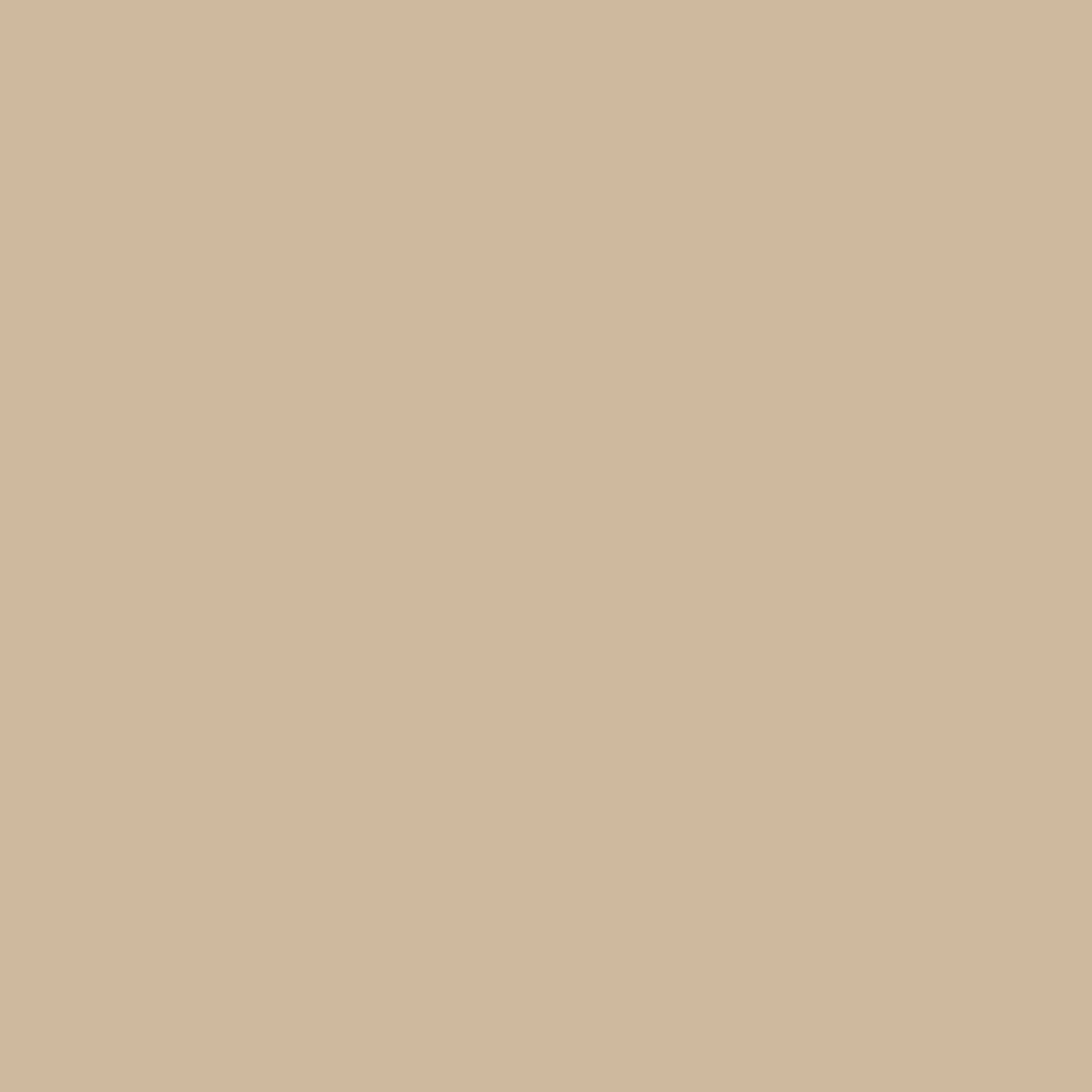 Tadelakt Finish | Sample Kit - Earthaus Plaster