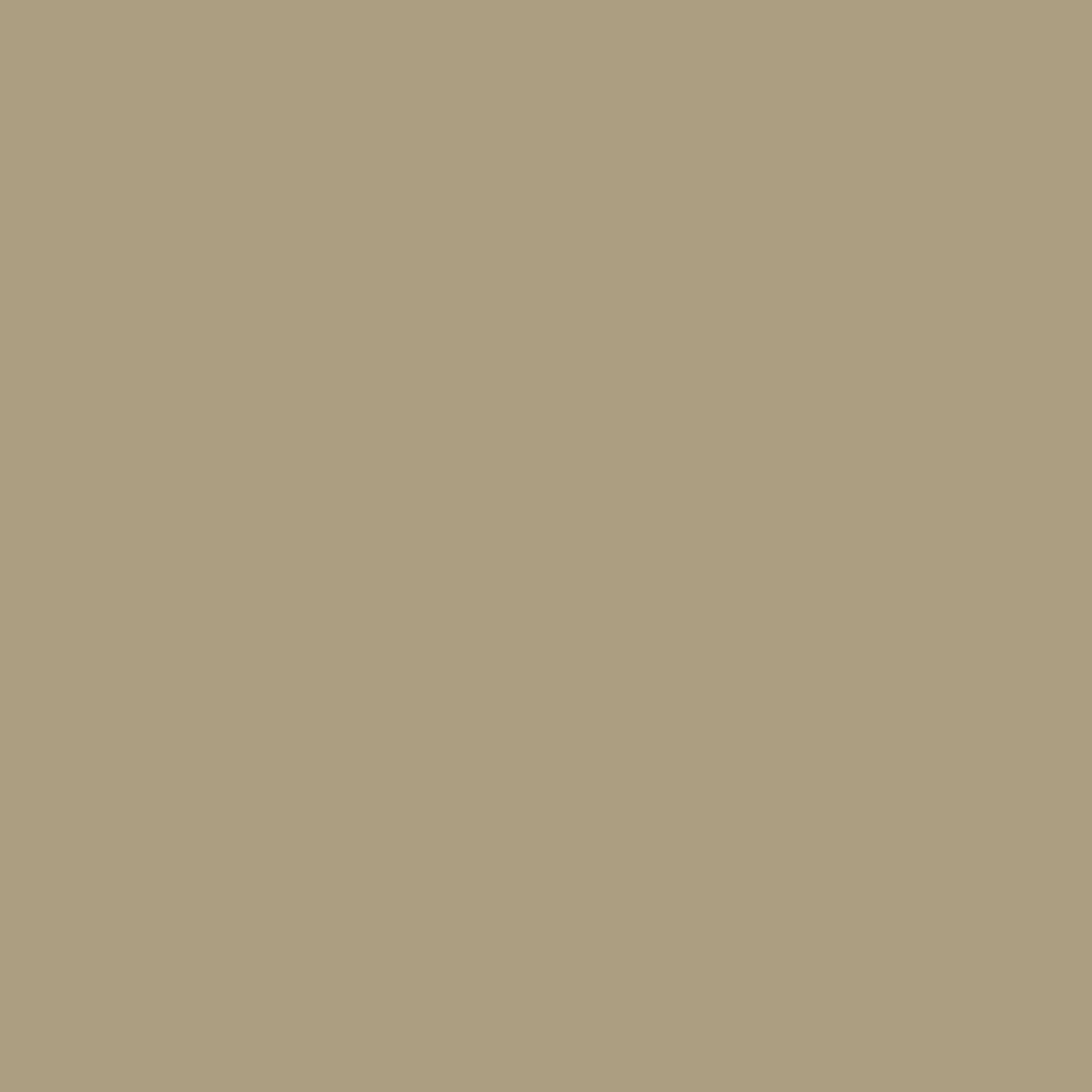 Tadelakt Finish | Sample Kit - Earthaus Plaster