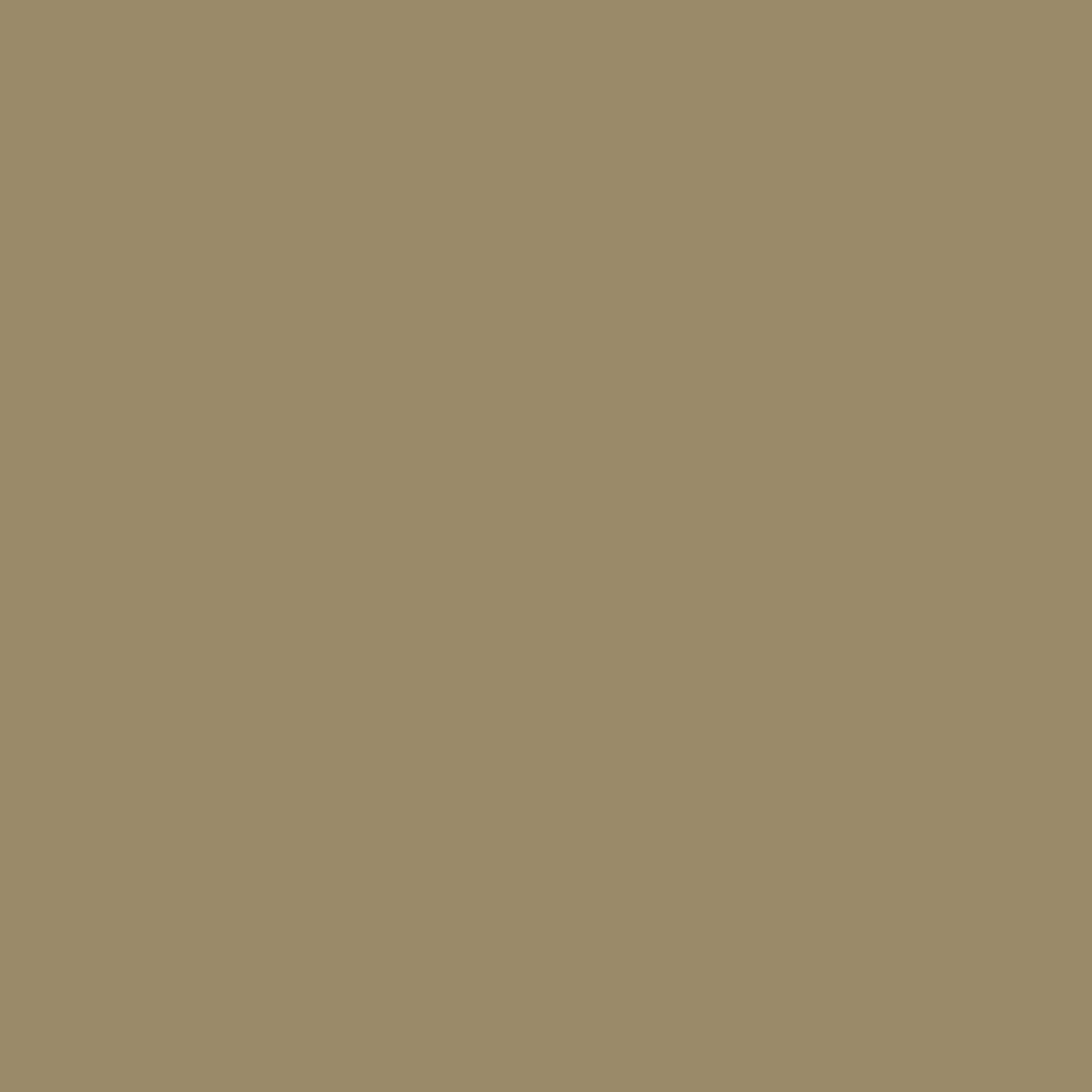 Tadelakt Finish | Sample Kit - Earthaus Plaster