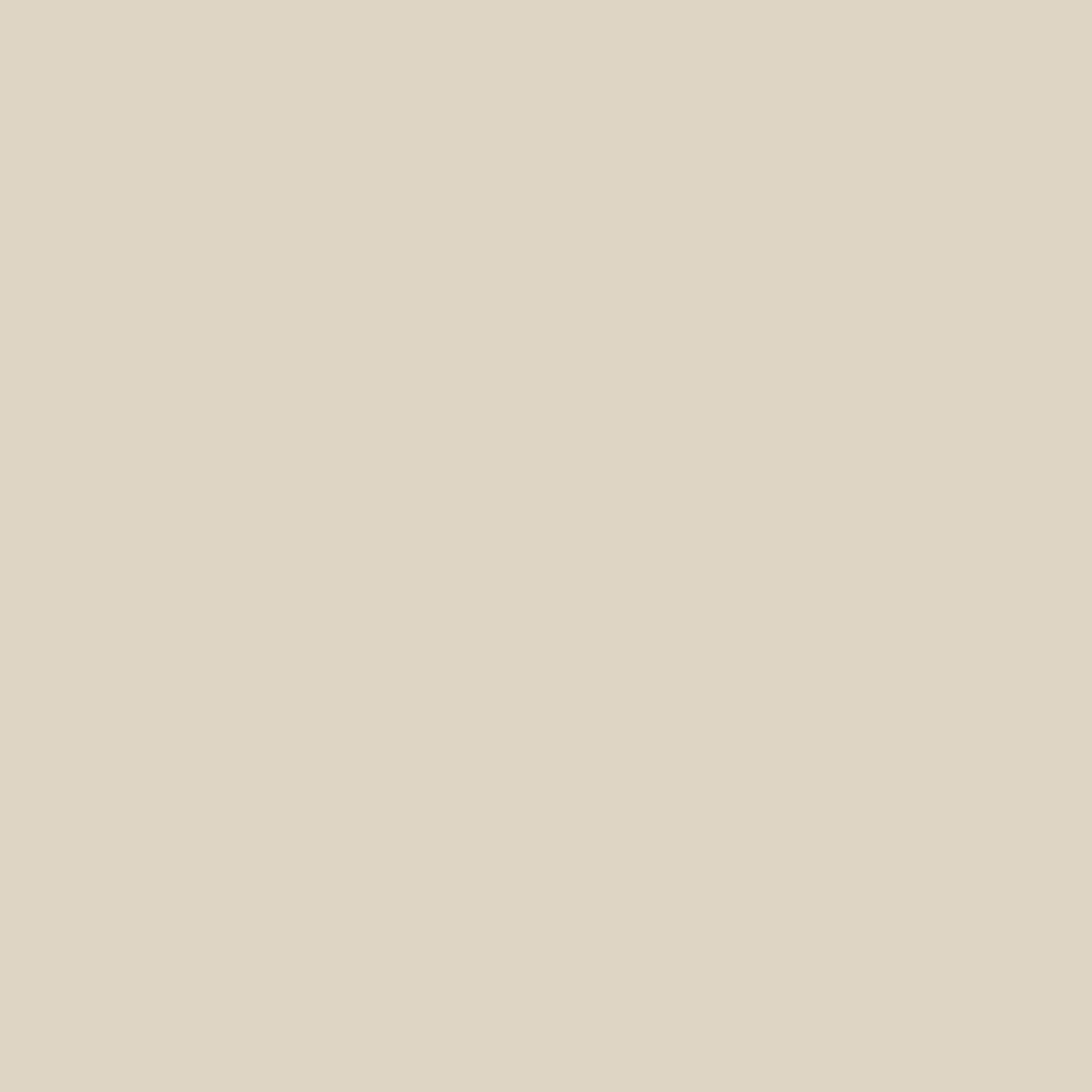 Tadelakt Finish | Sample Kit - Earthaus Plaster
