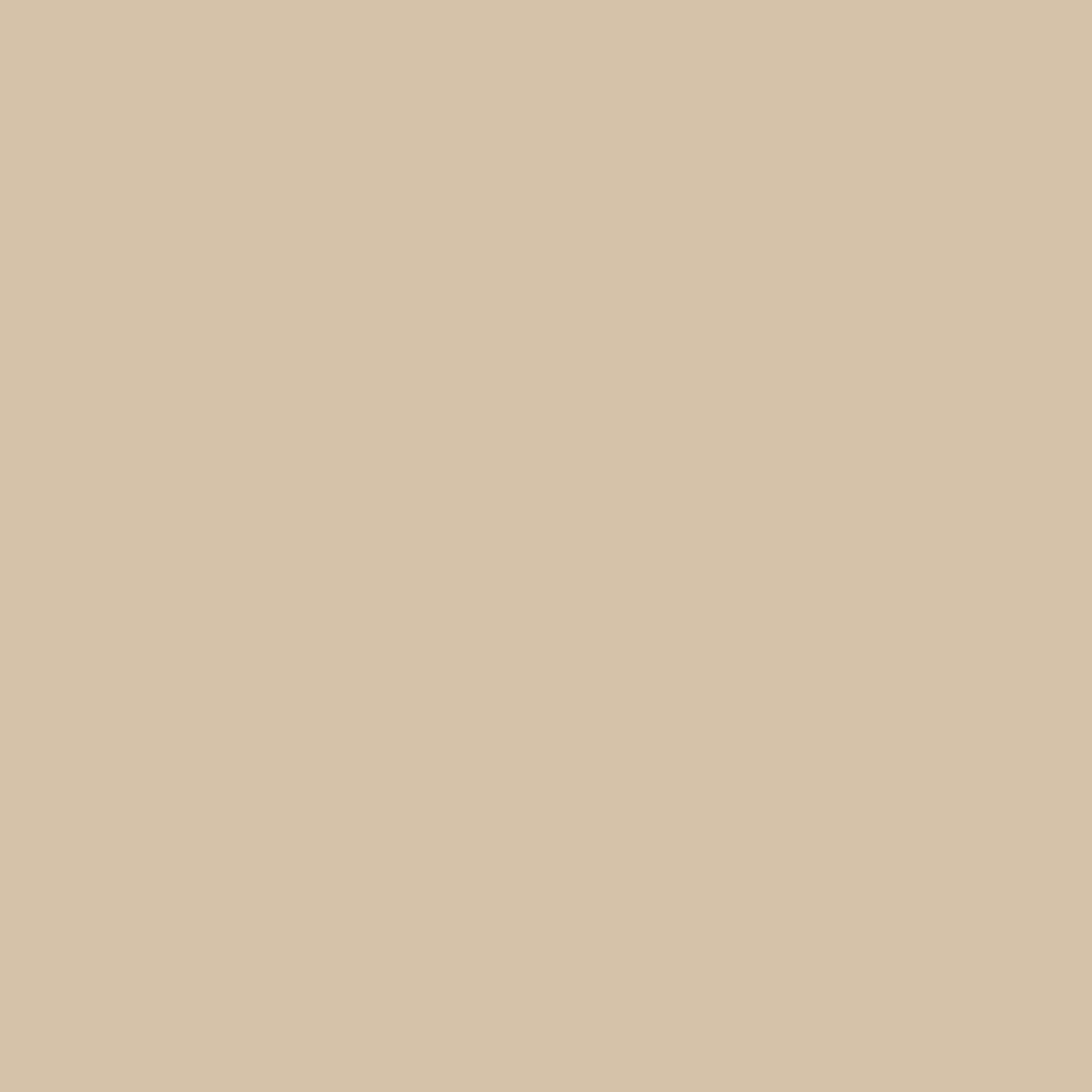 Tadelakt Finish | Sample Kit - Earthaus Plaster