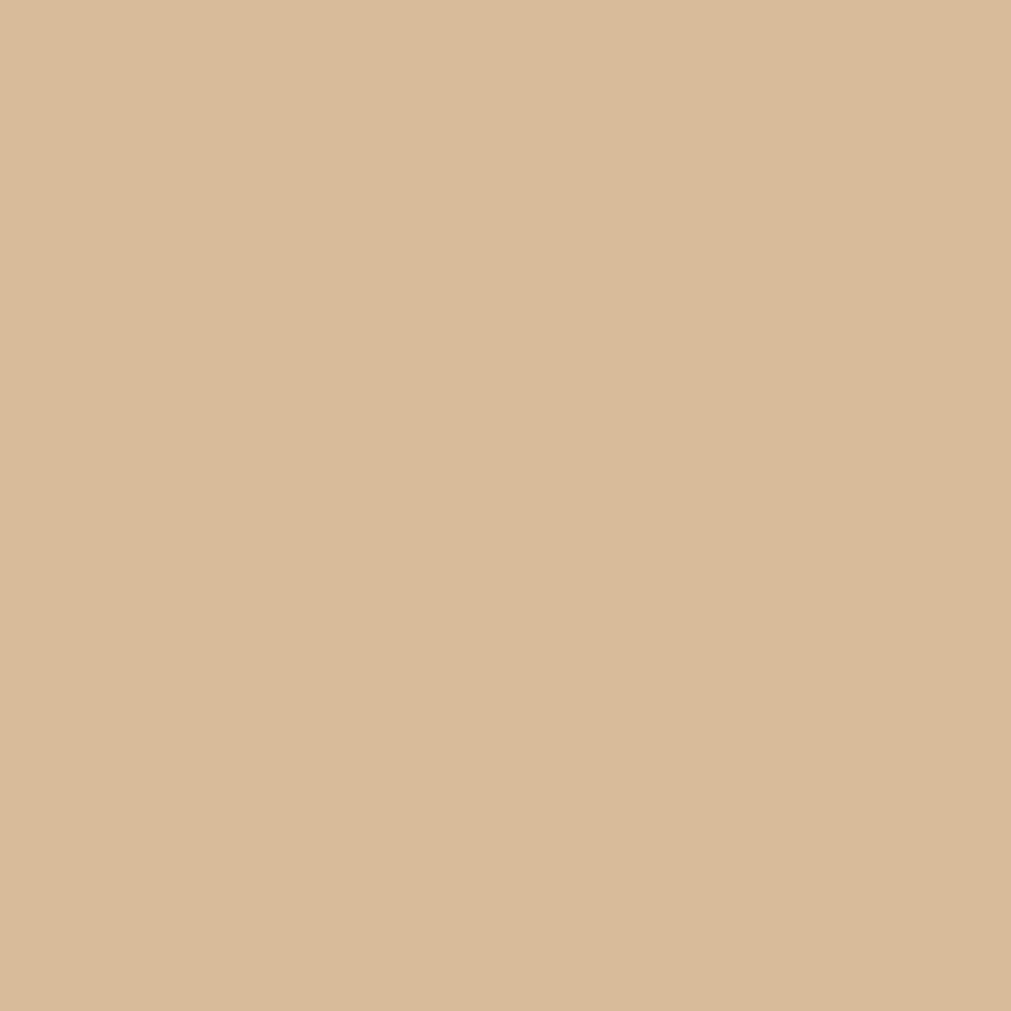 Tadelakt Finish | Sample Kit - Earthaus Plaster