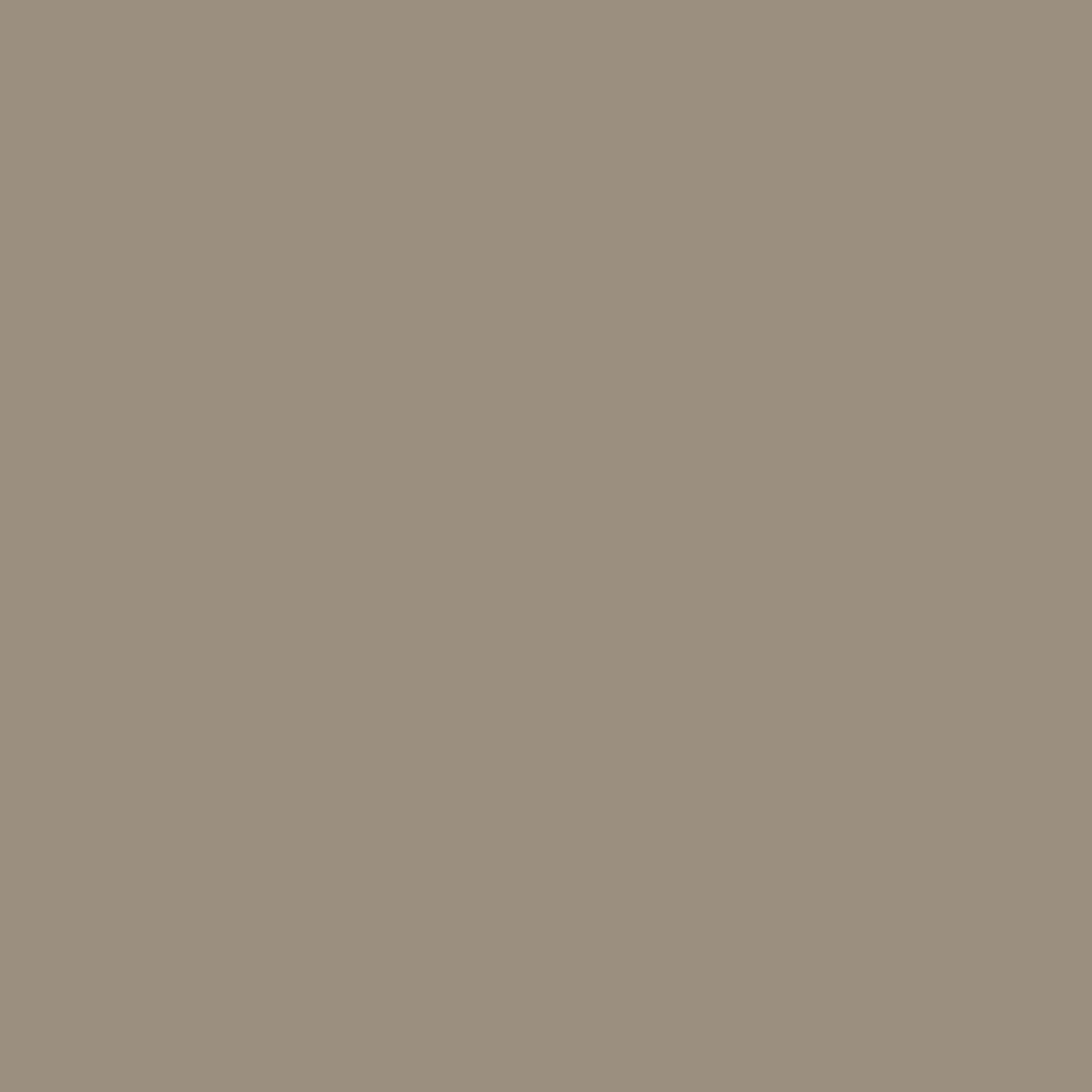 Tadelakt Finish | Sample Kit - Earthaus Plaster