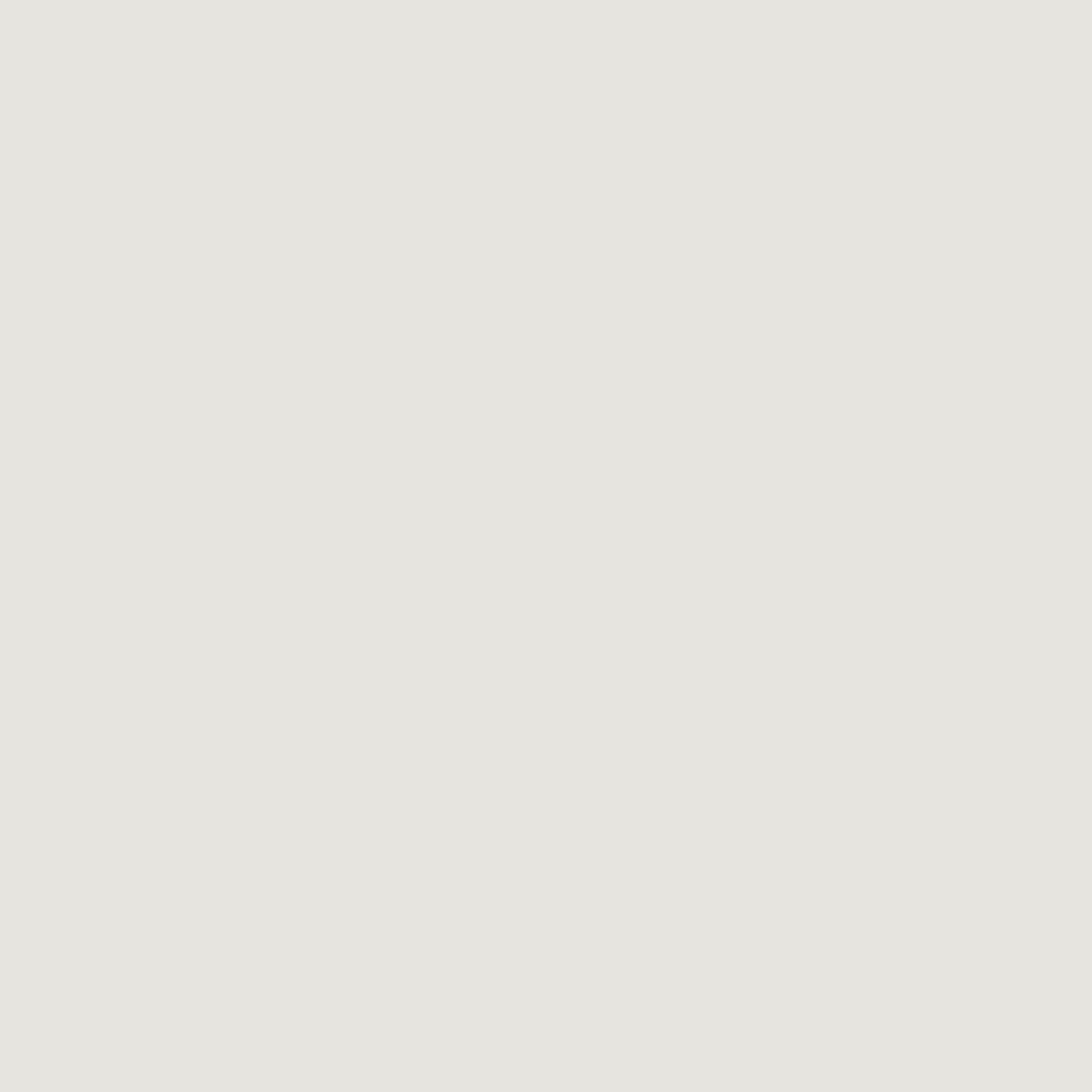 Tadelakt Finish | Sample Kit - Earthaus Plaster