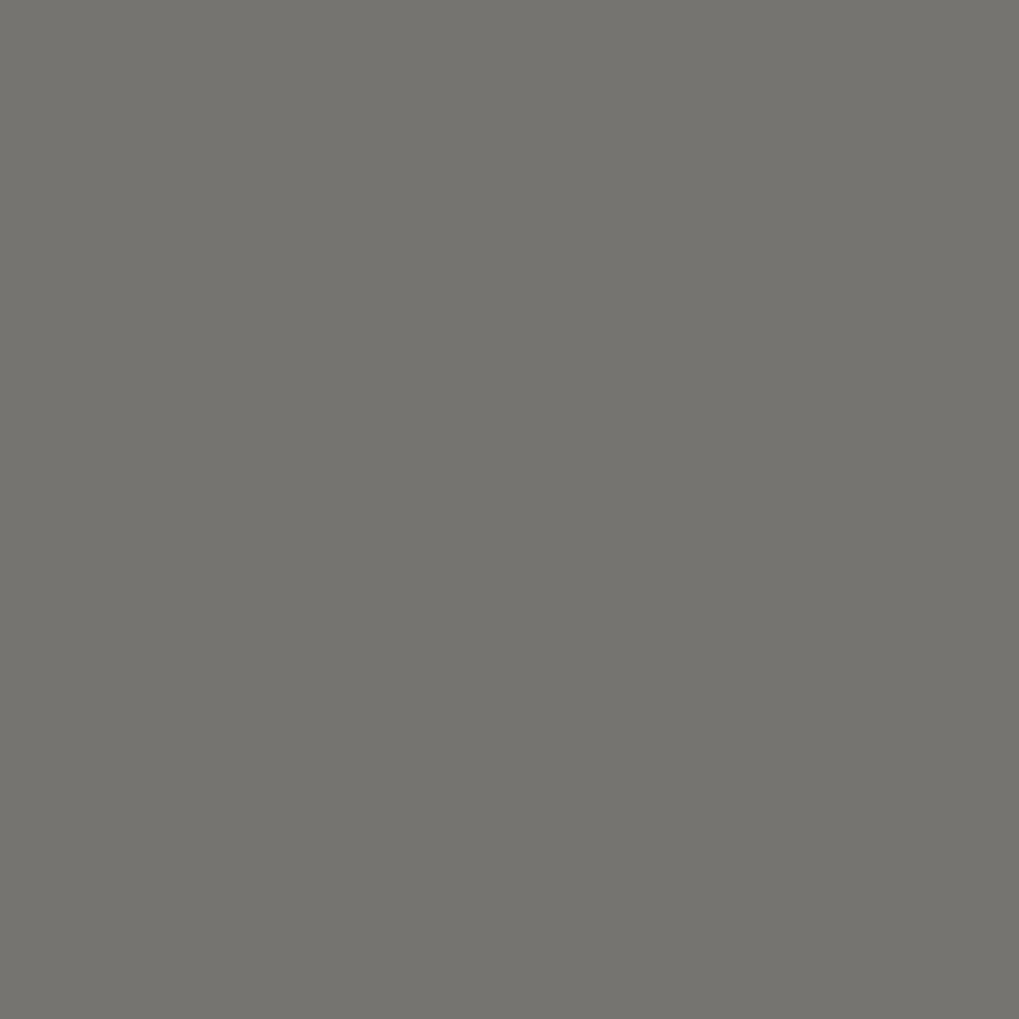 Tadelakt Finish | Sample Kit - Earthaus Plaster