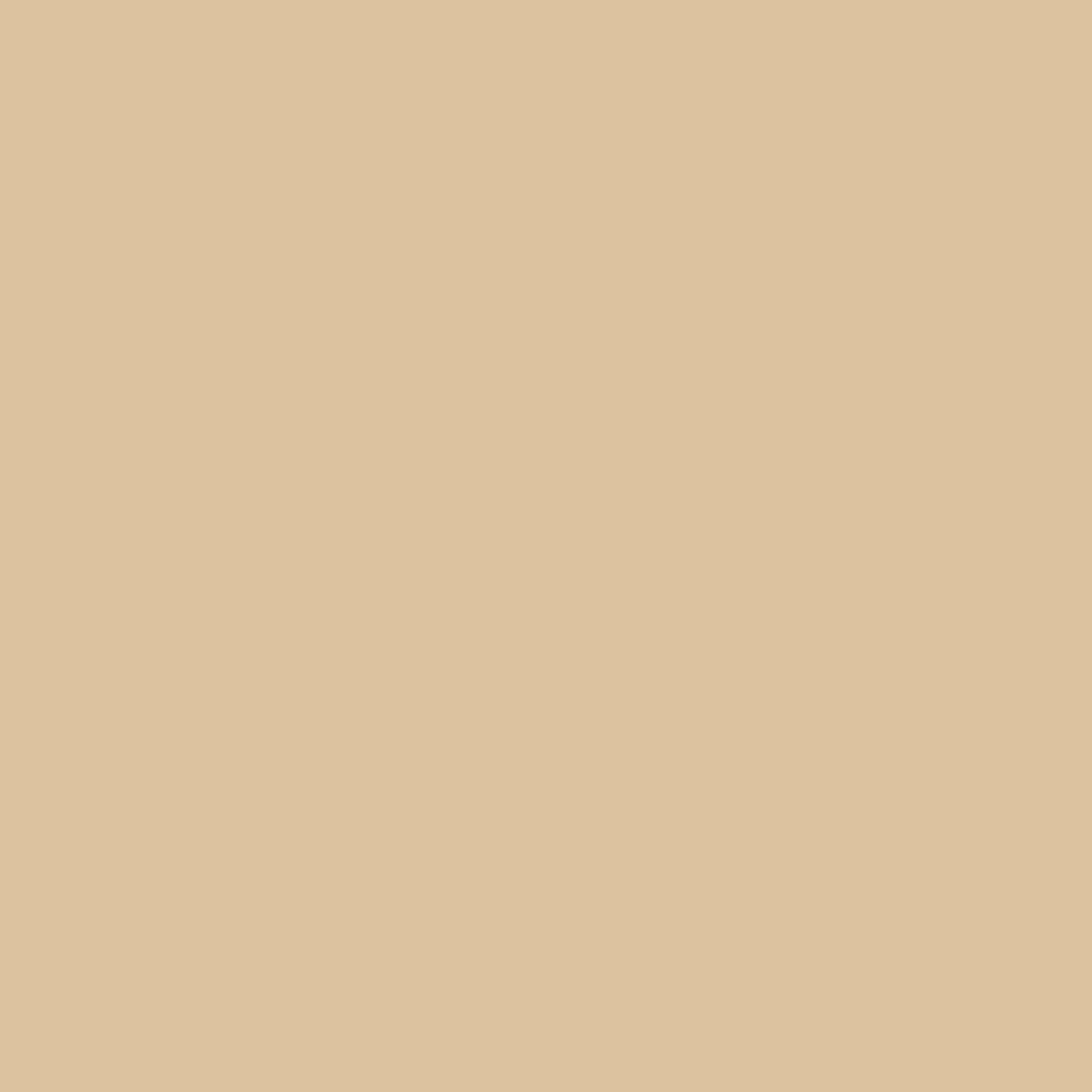 Tadelakt Finish | Sample Kit - Earthaus Plaster