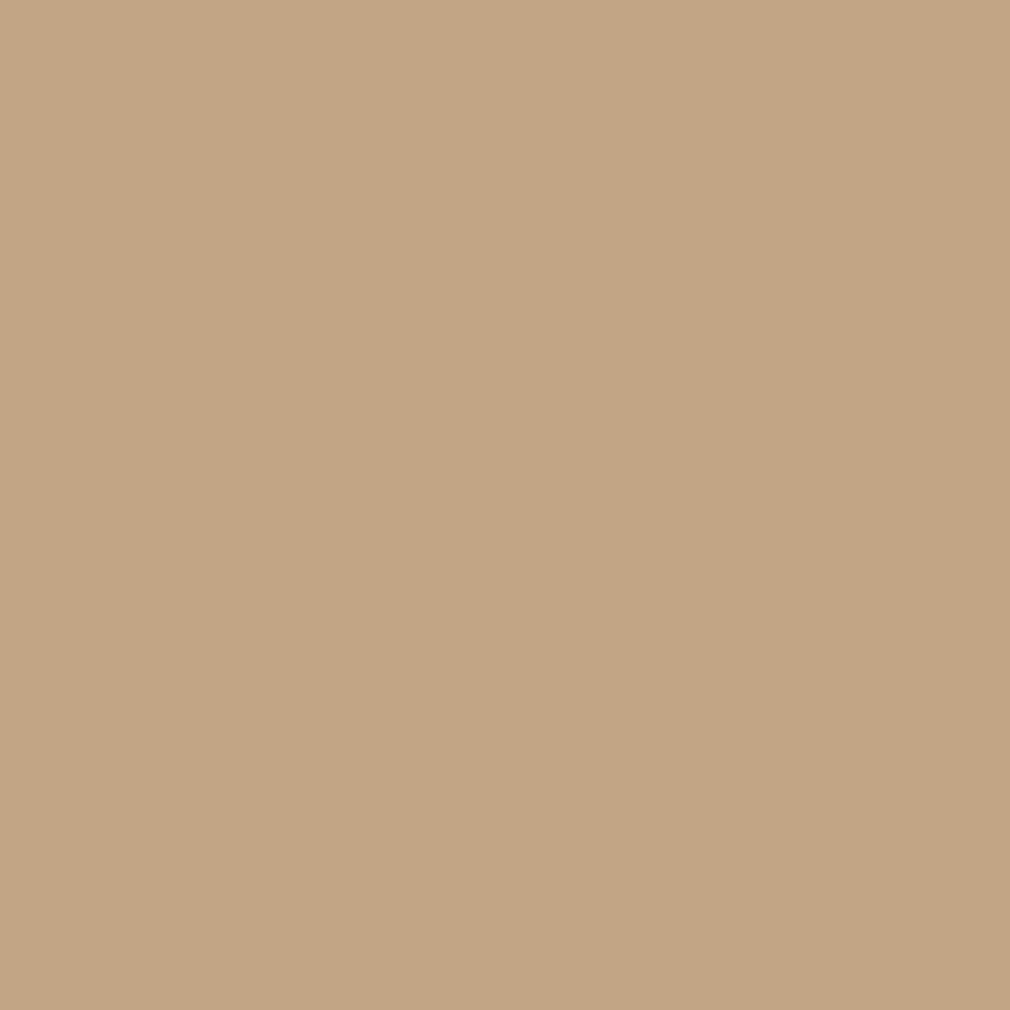 Tadelakt Finish | Sample Kit - Earthaus Plaster